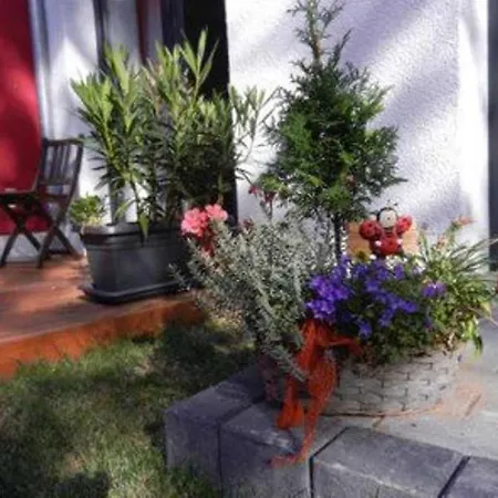 Ferienwohnung Blumenstrasse 81 Erfurt Zewnętrze zdjęcie